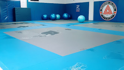 Melbourne Jiu-Jitsu Academy - Opiniones