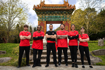 Black Lion Wing Chun - Opiniones