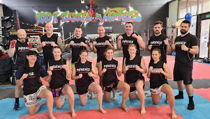 Phoenix Muay Thai & Kickboxing - Opiniones